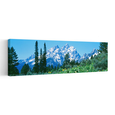 «Grand Teton National Park Wy Usa», art contemporain de paysage de pin contemporain