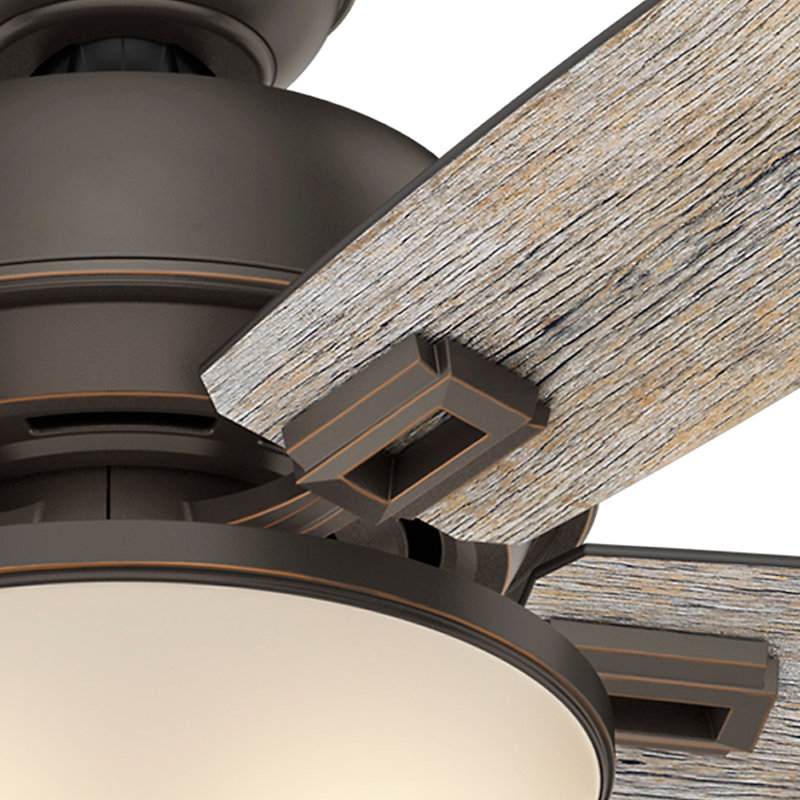 52" Donegan 5 - Blade Standard Ceiling Fan with Pull Chain and Light Kit Included, Onyx Bengal