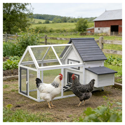 Chicken Coop Wooden,Hen House