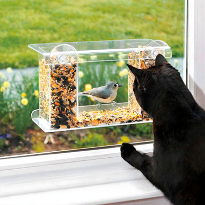 Window Tray Bird Feeder