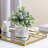 8.9'' Faux Eucalyptus Plant in Cement Pot