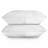 100% Cotton Sheet Set-72058288-72058284