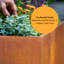 Planter Box