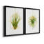 «Hanging Airplant II», ensemble de 2 reproductions d'art-105408457-105408458-105408470