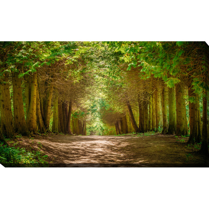 « allé lane path », reproduction de photo sur toile tendue, H 24 po x l 40 po x P 1 po
