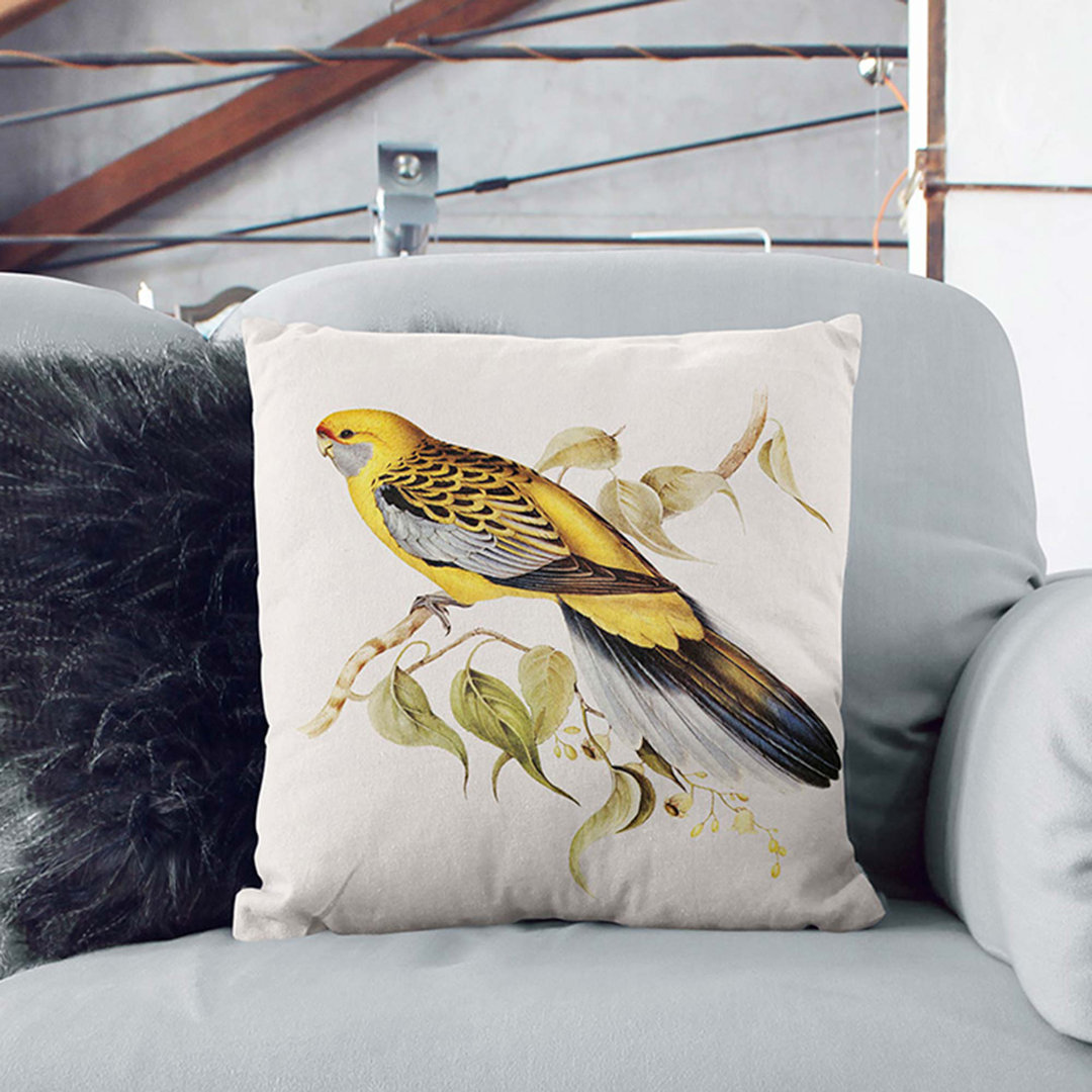 Rumped Parakeets by Elizabeth Gould Cushion with Filling