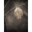 «Hold on» par Scott Norris - photographie-65825528-65850021