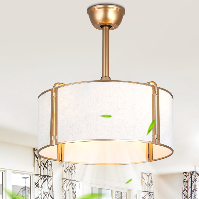 Ventilateur de plafond en cage 19 "avec lumières, ventilateur de plafond Fandelier réversible 6 vitesses Gold Boho Farmhouse