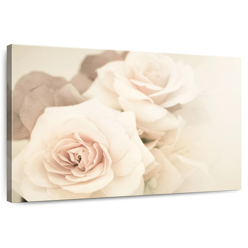 Harnek, roses rétro douces, H 30 po x l 45 po