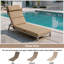 Ensemble de coussins de chaise longue d'extérieur / d'intérieur 25 po x 77 po x 2,75 po (1 paquet)-1759954045-1760283475
