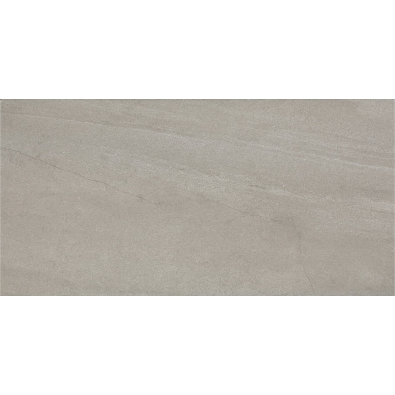 Daltile Wanderwise 12 x 24 Glazed Porcelain Floor Tile (9 PC Per Carton) (17.60 SQFT Per Carton), Roam