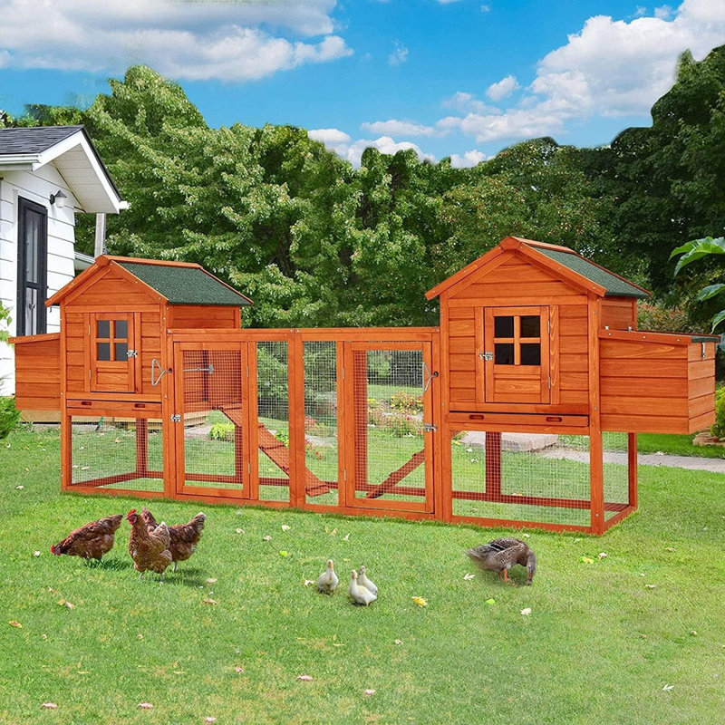 Grand poulailler en cage, Brun