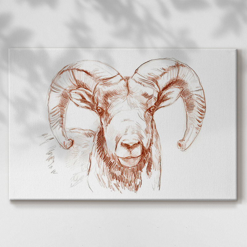 Toile tendue Big Horn Sheep II-Gallery, H 40 po x l 60 po