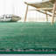 Tapis vert foncé tissé à plat Kynlee-1615235356