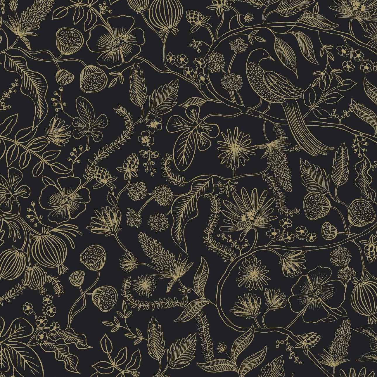 Aviary Self-Adhesive Wallpaper Roll, Black/Gold