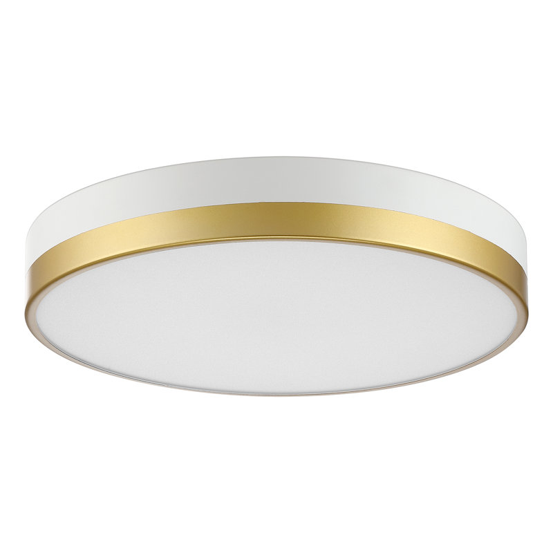 Hopeland Acrylic LED Flush Mount, White