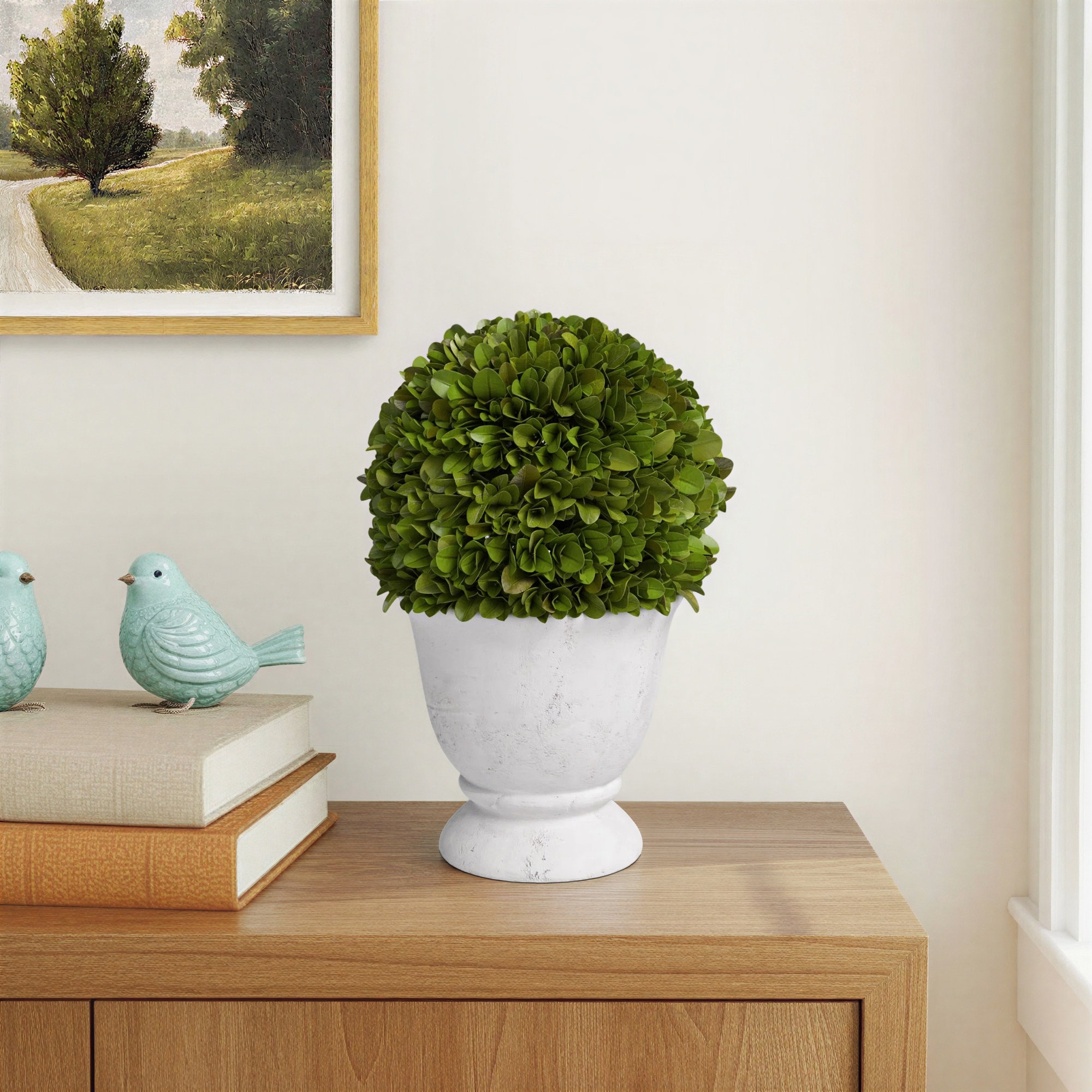Alby Boxwood Ball Topiary In Pot Small, 9.5'' H X 6.25'' W X 6.25'' D
