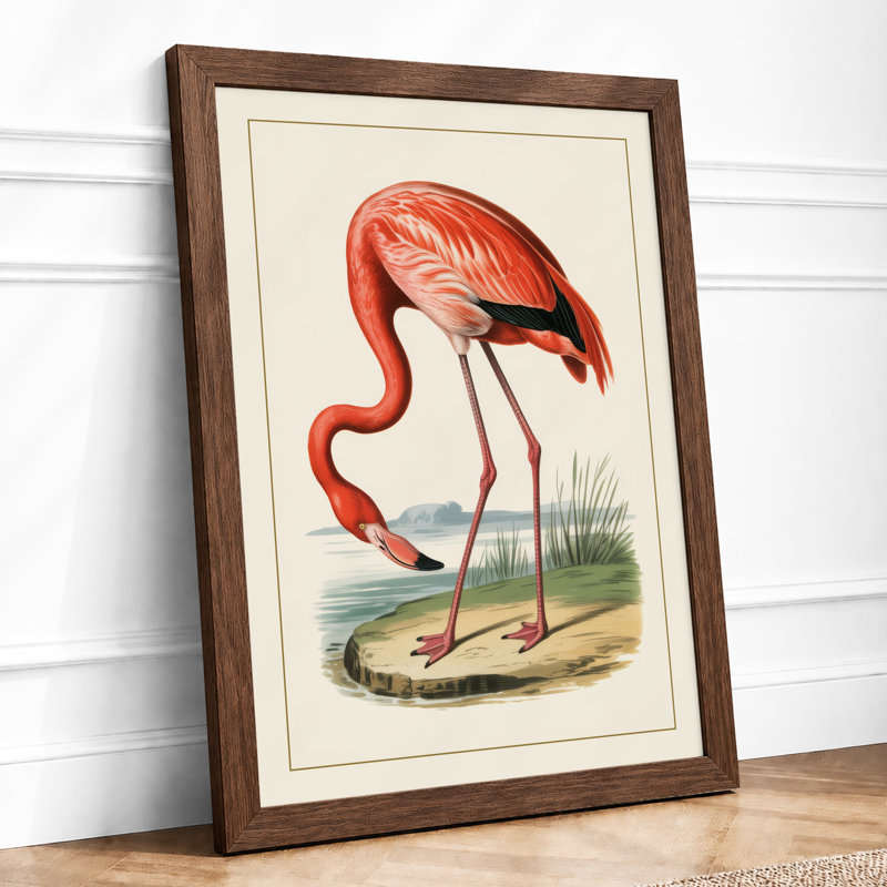 Flamingo Study Vintage - Print, Walnut, A4 - 29.7 x 21.0 cm