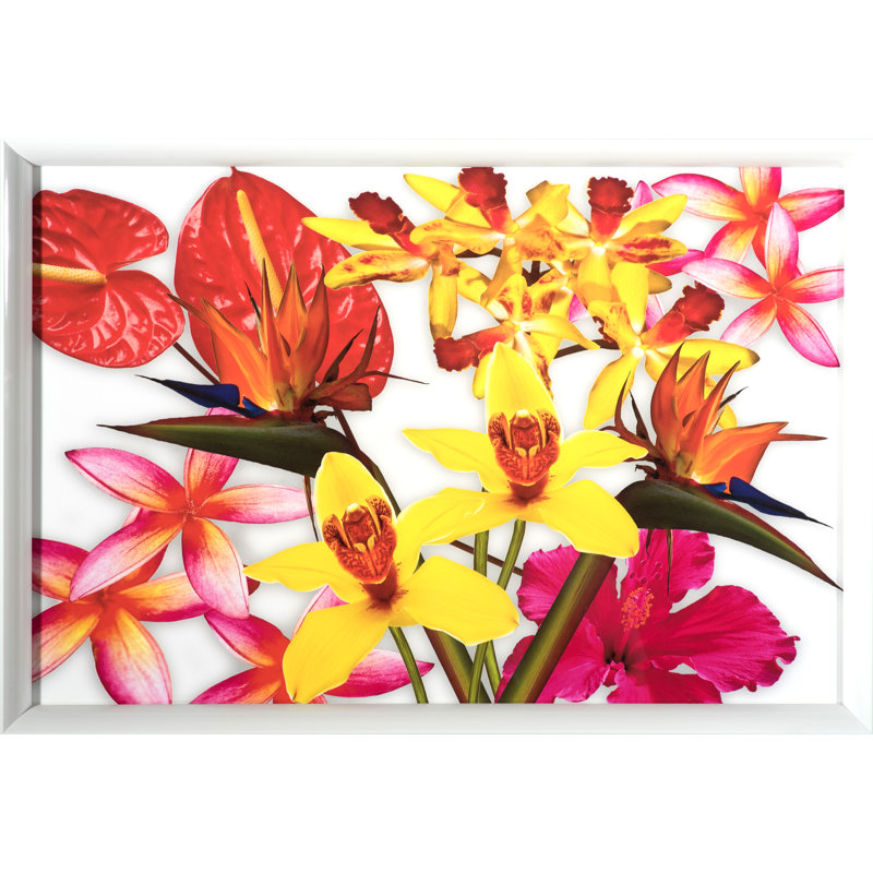 Flower Pop Print by Larry Laslo