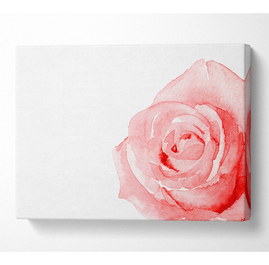 Baby Pink Rose - Leinwanddrucke im Wrapped Format