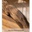 Miroir pleine grandeur de style Wabi-Sabi-332535690