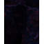 Ixzel One-of-a-Kind 9' 1" X 12' 0" Hand Knotted Area Rug