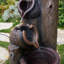 23.62"H Resin LED Fountain With Pots