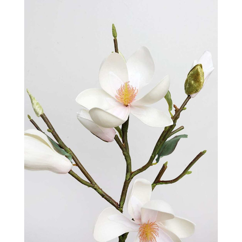 White Magnolia Tulip 20"