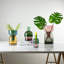  Reversible Glass Vase