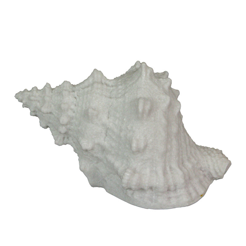 Lampe d'appoint DEL en résine blanche en forme de coquille grenouille, avec lumière chaude et minuterie, 20 cm de large