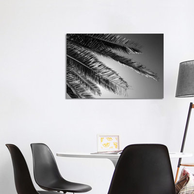 Palm 1 Piece Wrapped Canvas Wall Art