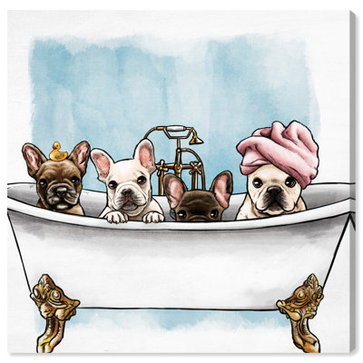 " Dogs And Puppies Frenchies In The Tub "