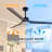 60" Elizandra 3 - Blade LED Standard Ceiling Fan with Remote Control and Light Kit Included