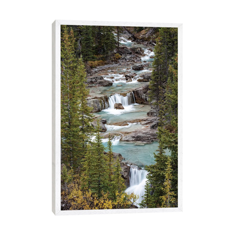 Canada, Alberta. Nigel Creek, Banff National Park. by Judith Zimmerman - Print on Canvas, 101.6cm H x 66.04cm W x 3.81cm D