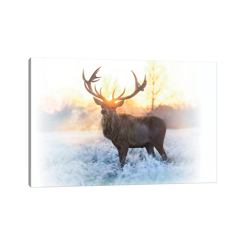 Emperor Of The Cold By Max Ellis - Wrapped Canvas Photograph by Max Ellis - Wrapped Canvas Print