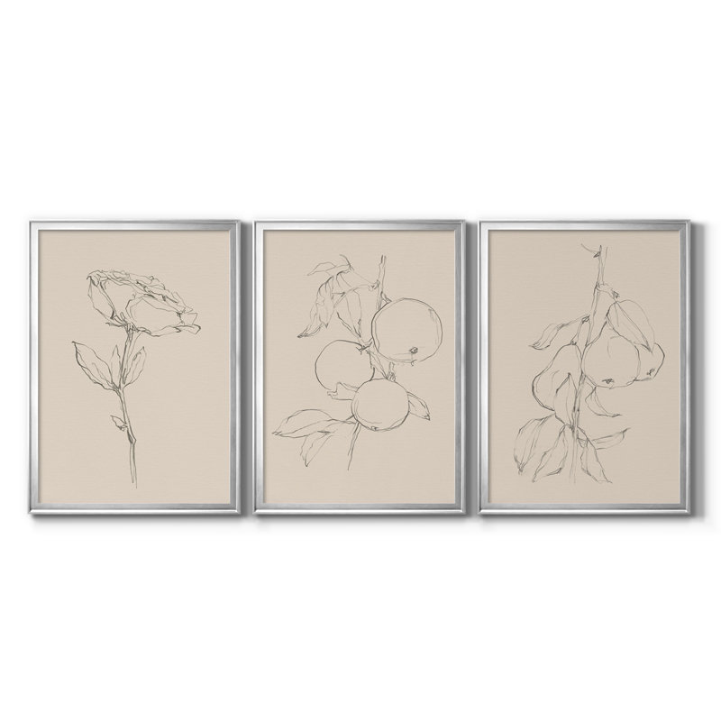 Floral Contour Study IV, reproduction encadrée de qualité supérieure, prête à être accrochée, H 36,5 po x l 79,5 po x P 1 po