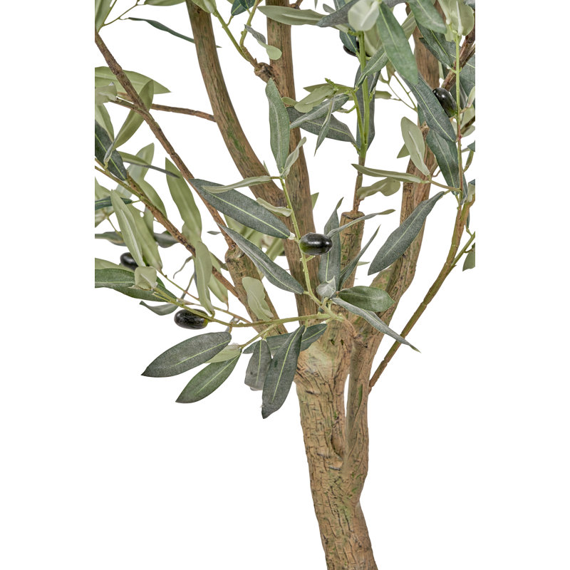 210cm Faux Tree in Cement Pot
