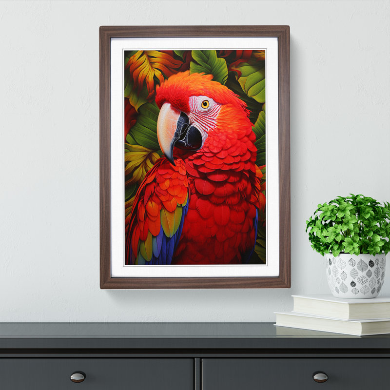 Parrot Colour Field - Single Picture Frame Print on Wood, Walnut Framed, 34cm H x 25cm W x 2" D