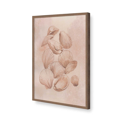 «Saltwater Shell Study I» par Grace Popp, reproduction d'art