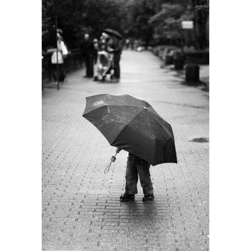 Wrapped Canvas Print, 76.2 cm H x 50.8 cm W