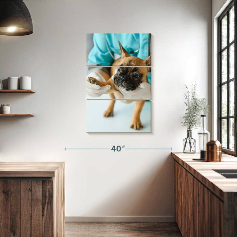 Pet Care, 38" H x 24" W