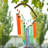 Glass Abstract Wind Chime
