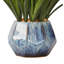 Herbe de bureau en vase décoratif oignon
