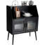 Aponi 2 -Door Accent Cabinet