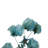 Preserved Cara Blossom Arrangement-94734867