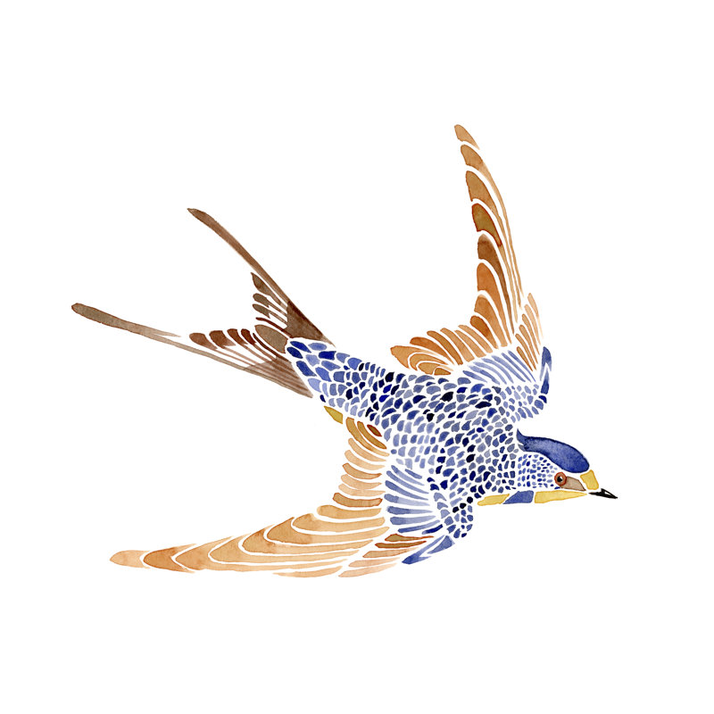 « Jeweled Barn Swallow I » par Jacob Green, reproduction d’art sur toile tendue, H 20 po x l 30 po