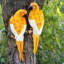 Ceramic Garden Statue-1075531160