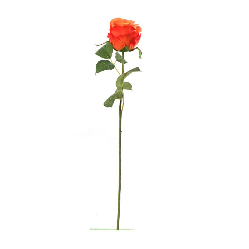 Tige rose 20 po - paquet de 12