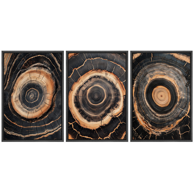 Ensemble d'anneaux d'arbre en toile sur toile, impressions d'art encadrées rustiques pour salon de campagne ou décor intérieur moderne inspiré des bois