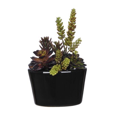 House of Silk Flowers 12'' Faux Succulent Plant in Ceramic Vase | Wayfair